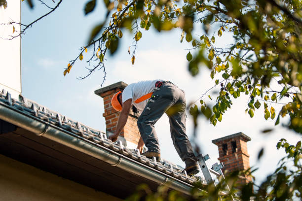 Best Metal Roofing Contractor  in Clarks Green, PA
